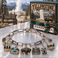 YLST Silver Charm Bracelet Set NTVA