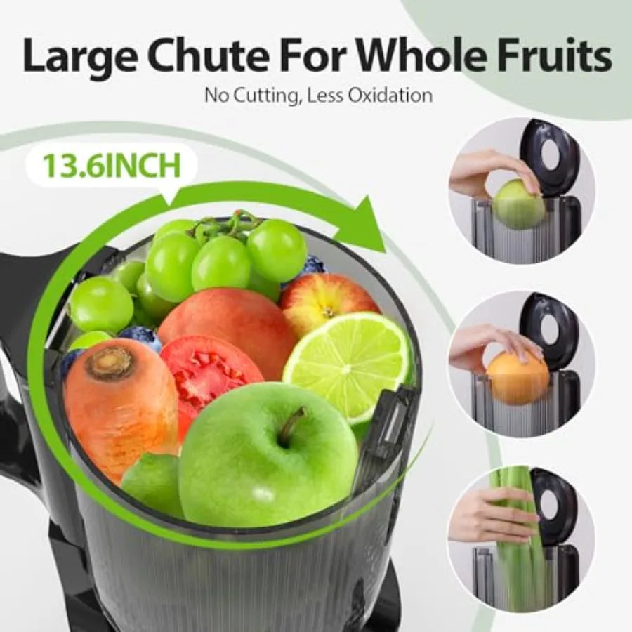 Aeitto Cold Press Juicer Machine with Wide Feed Chute for Whole Fruits Masticating Juice Extractor in Silver High Juice Yield E
